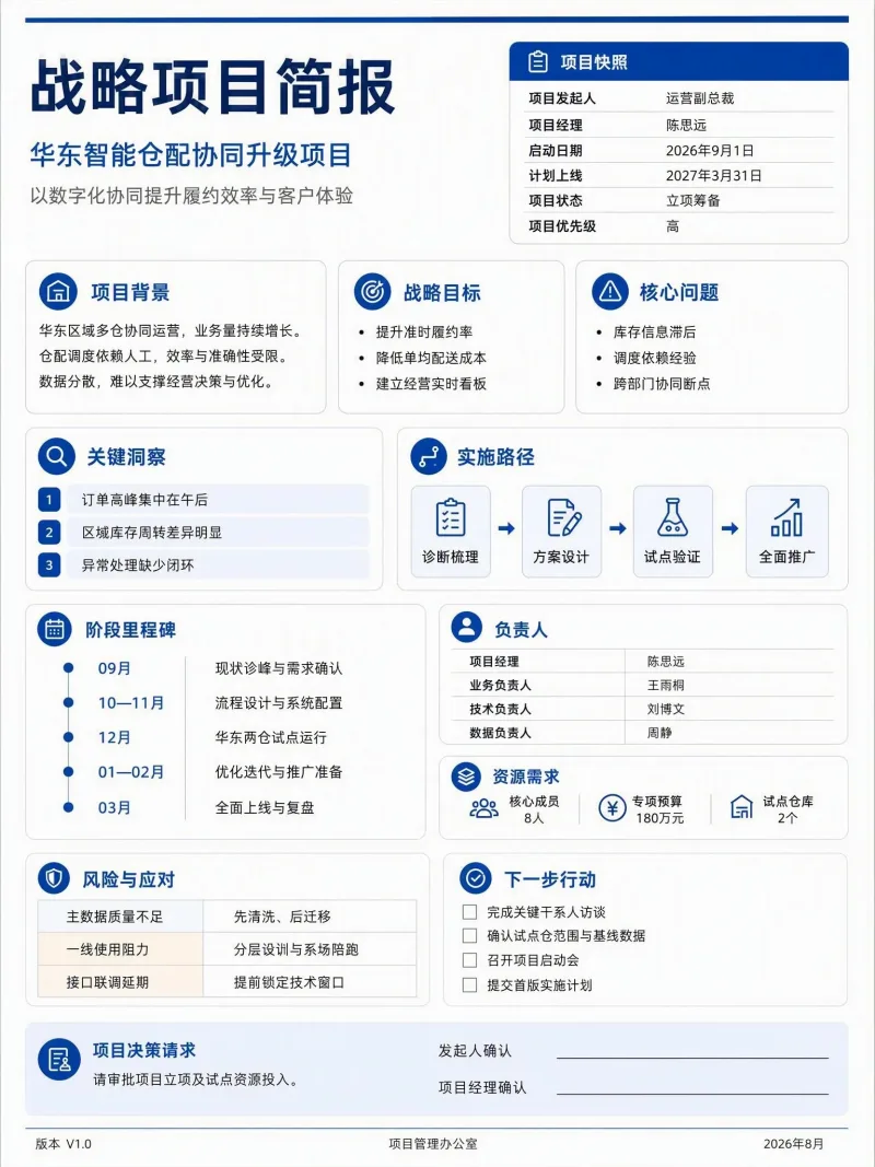 战略项目简报